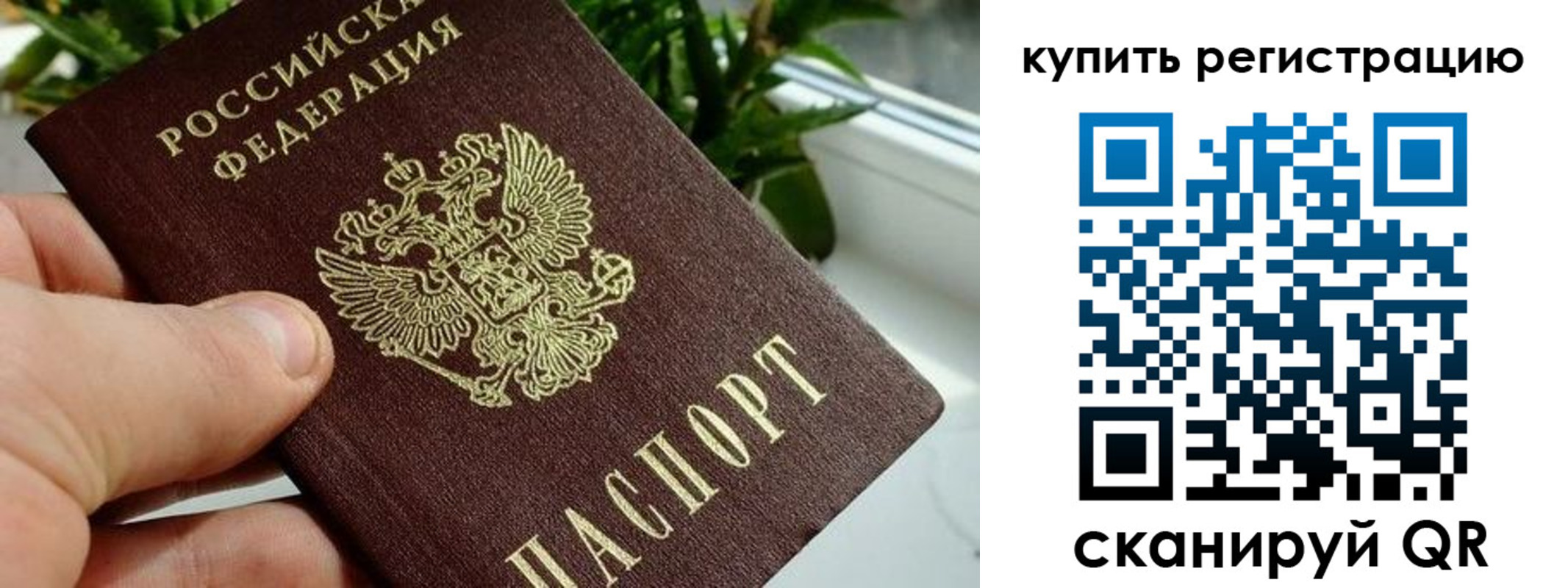 прописка гарантия в Белой Холунице